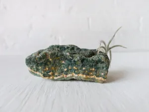 10% SALE Thin Fuzzy Air Plant on Natural Spotted Jasper Mineral