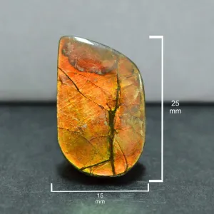 Ammolite Free-Form Cabochon 25mm - 1 piece