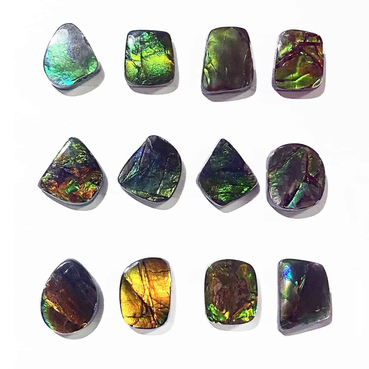 Ammolite Free-Form Cabochons 15mm - 12 pieces