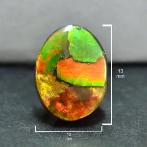 Ammolite Oval Cabochon 13mm - 1 piece