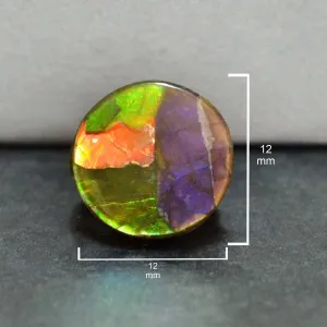 Ammolite Round Cabochon 12mm - 1 piece