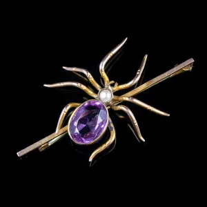 Antique Victorian Gold Spider Brooch Amethyst Pearl 9Ct Gold Circa 1900