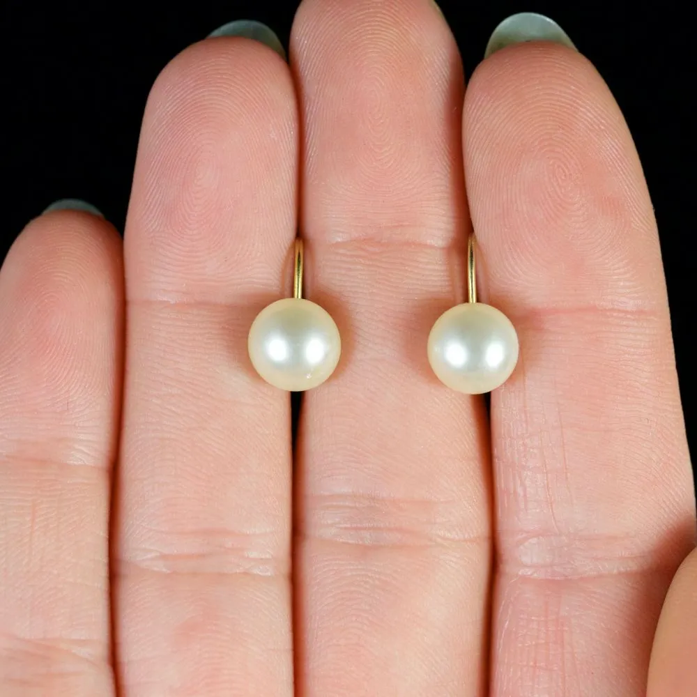 Antique Victorian Pearl Screw Earrings Circa 1900