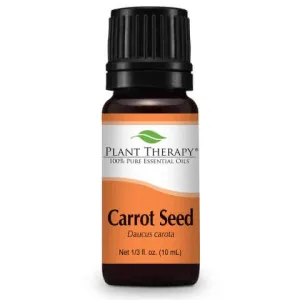 Carrot Seed Essential Oil