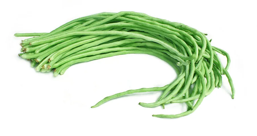 Chinese / Thai Green Yard Long Beans - Heirloom Vegetable - Vigna sesquipedalis - 5 Seeds