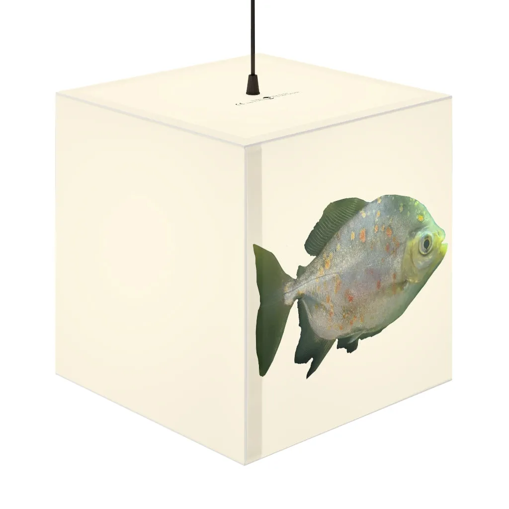 Green Fish with Specs Light Cube Lamp