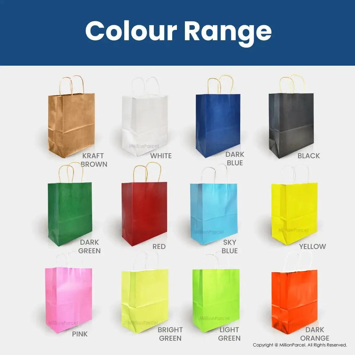 Kraft Paper Bag with Twisted Handle | Colour Paper Bag