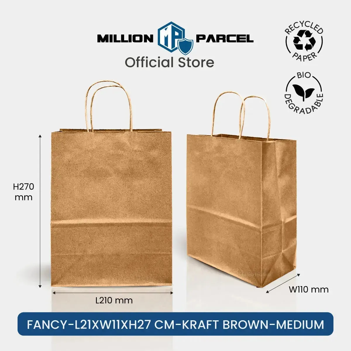 Kraft Paper Bag with Twisted Handle | Colour Paper Bag