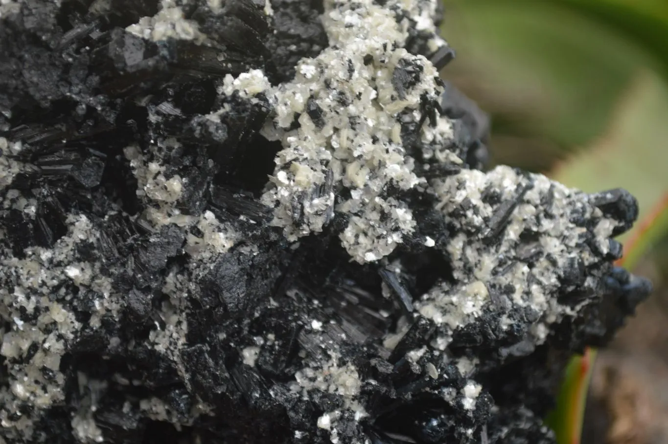 Natural Black Tourmaline Specimen x 1 From Erongo Mountains, Namibia