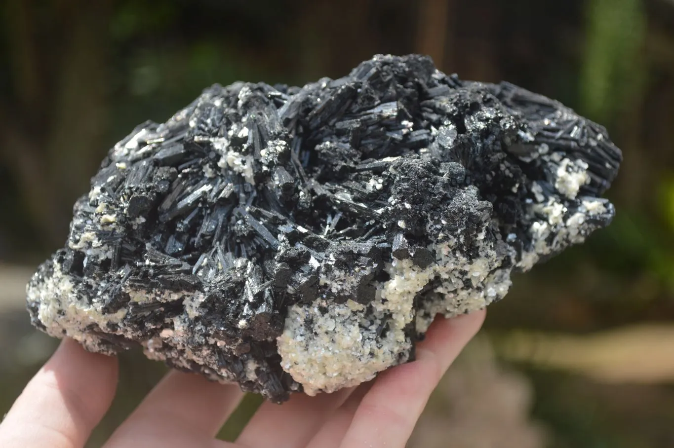 Natural Black Tourmaline Specimen x 1 From Erongo Mountains, Namibia