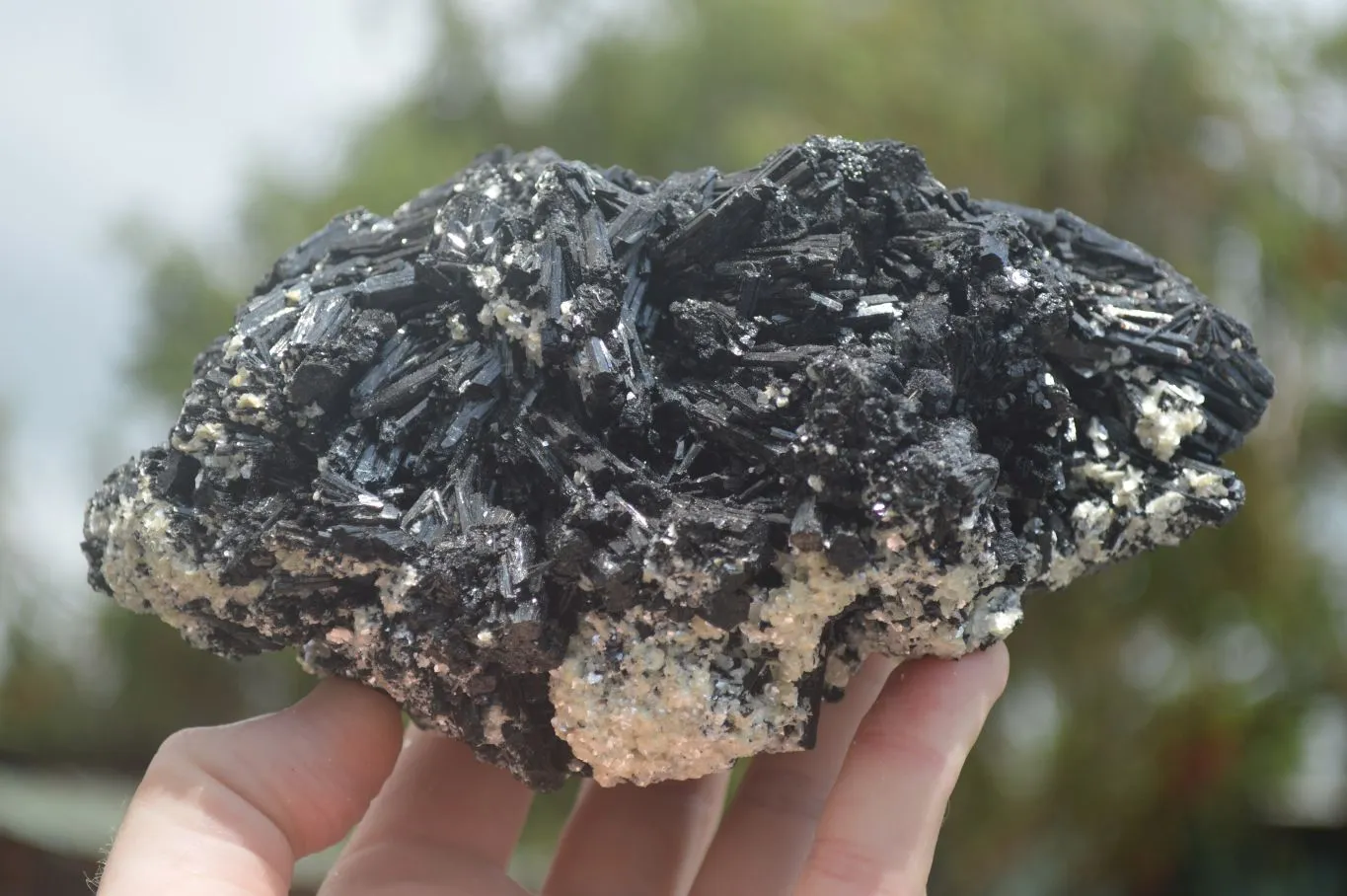 Natural Black Tourmaline Specimen x 1 From Erongo Mountains, Namibia