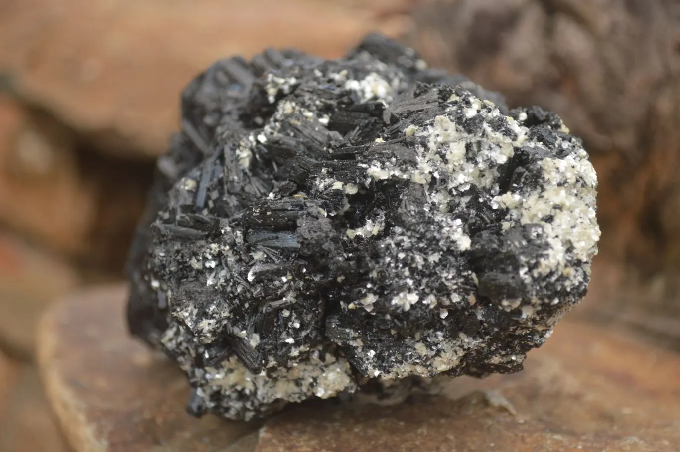 Natural Black Tourmaline Specimen x 1 From Erongo Mountains, Namibia