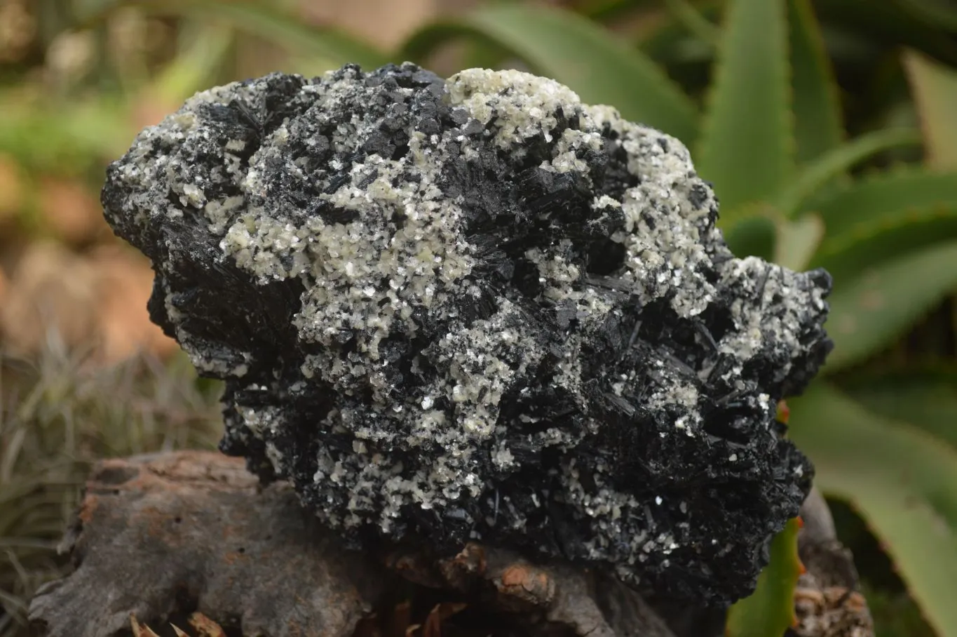 Natural Black Tourmaline Specimen x 1 From Erongo Mountains, Namibia