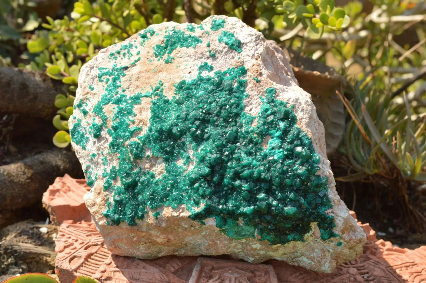 Natural Classic XXL Dioptase Museum Specimen x 1 From Tantara, Congo