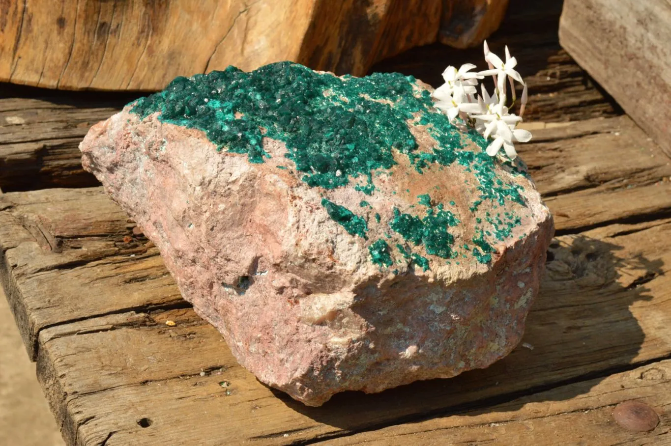 Natural Classic XXL Dioptase Museum Specimen x 1 From Tantara, Congo