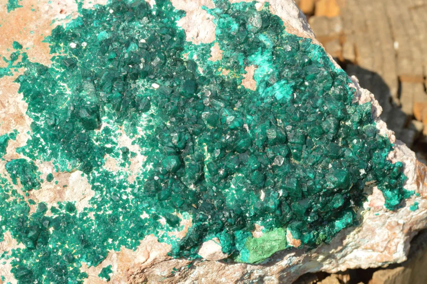 Natural Classic XXL Dioptase Museum Specimen x 1 From Tantara, Congo