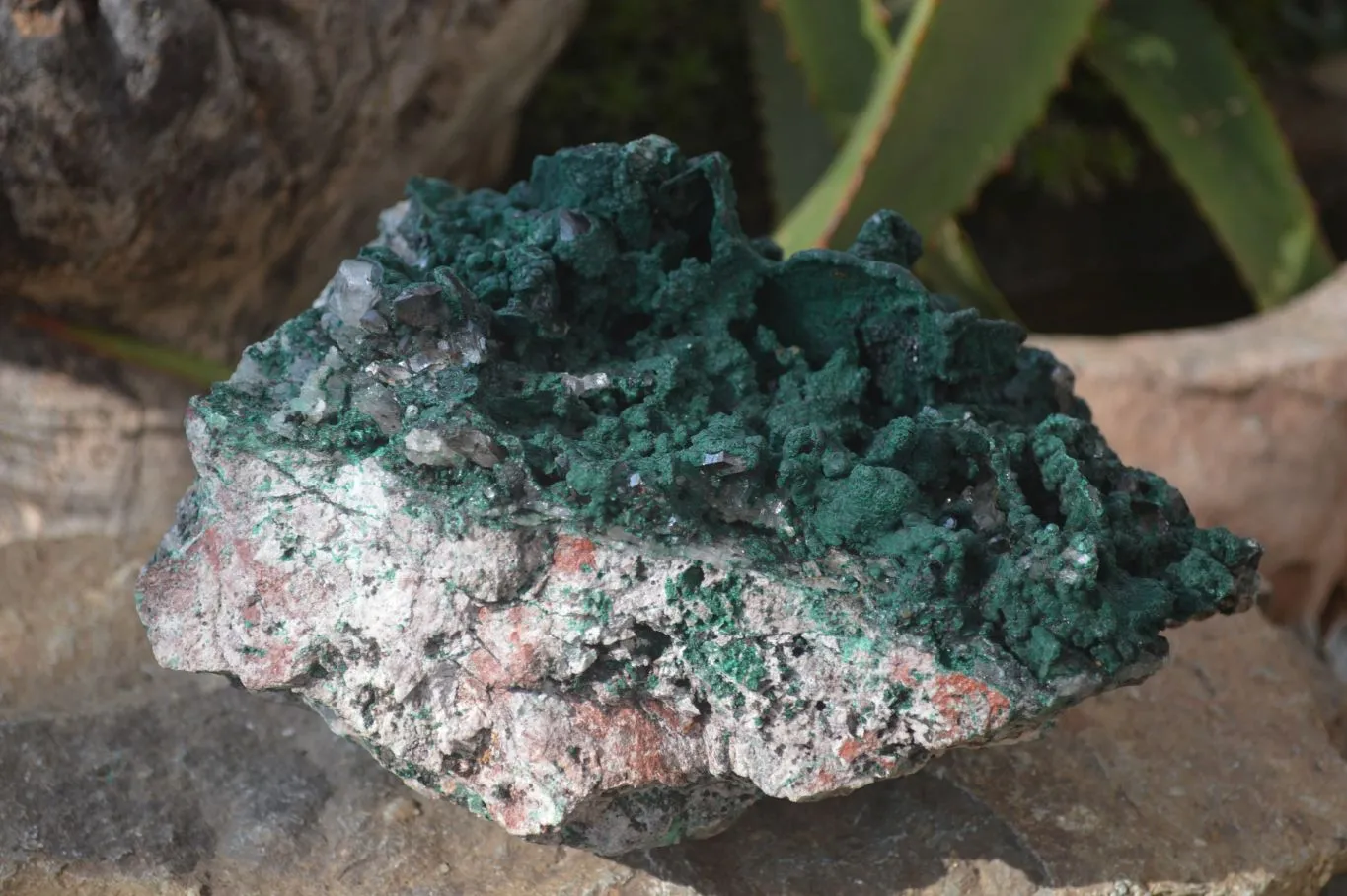 Natural Crystalline Malachite With Smokey Quartz Specimen x 1 From Congo