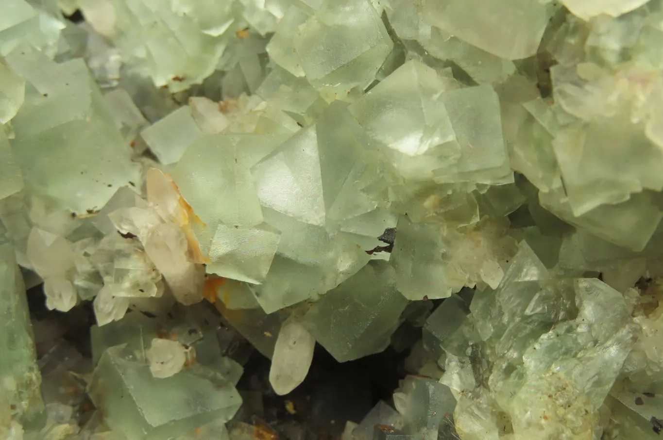 Natural Cubic Fluorite Specimen x 1 From Namibia