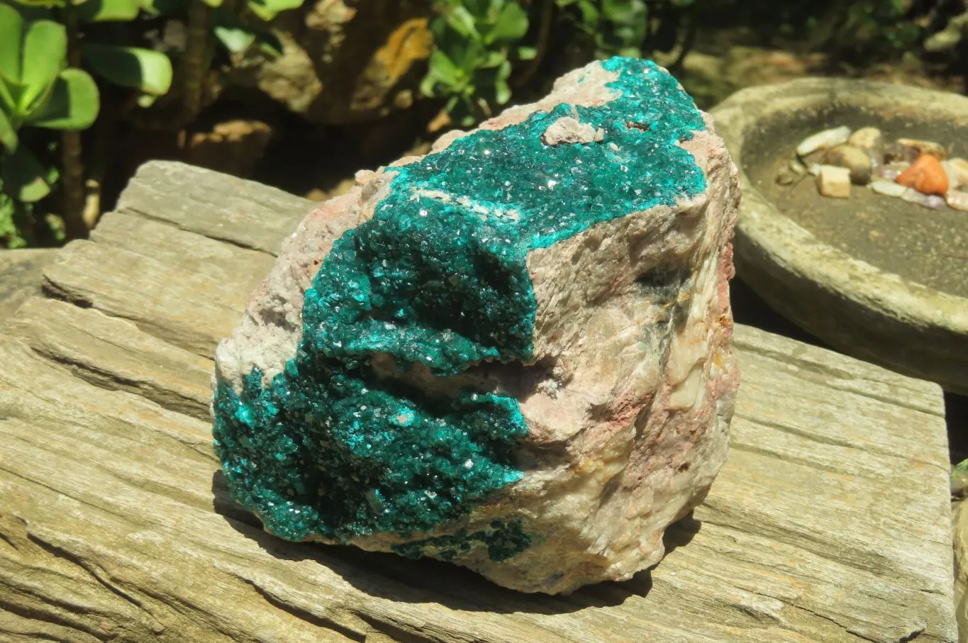 Natural Dioptase Cabinet Specimen x 1 From Congo