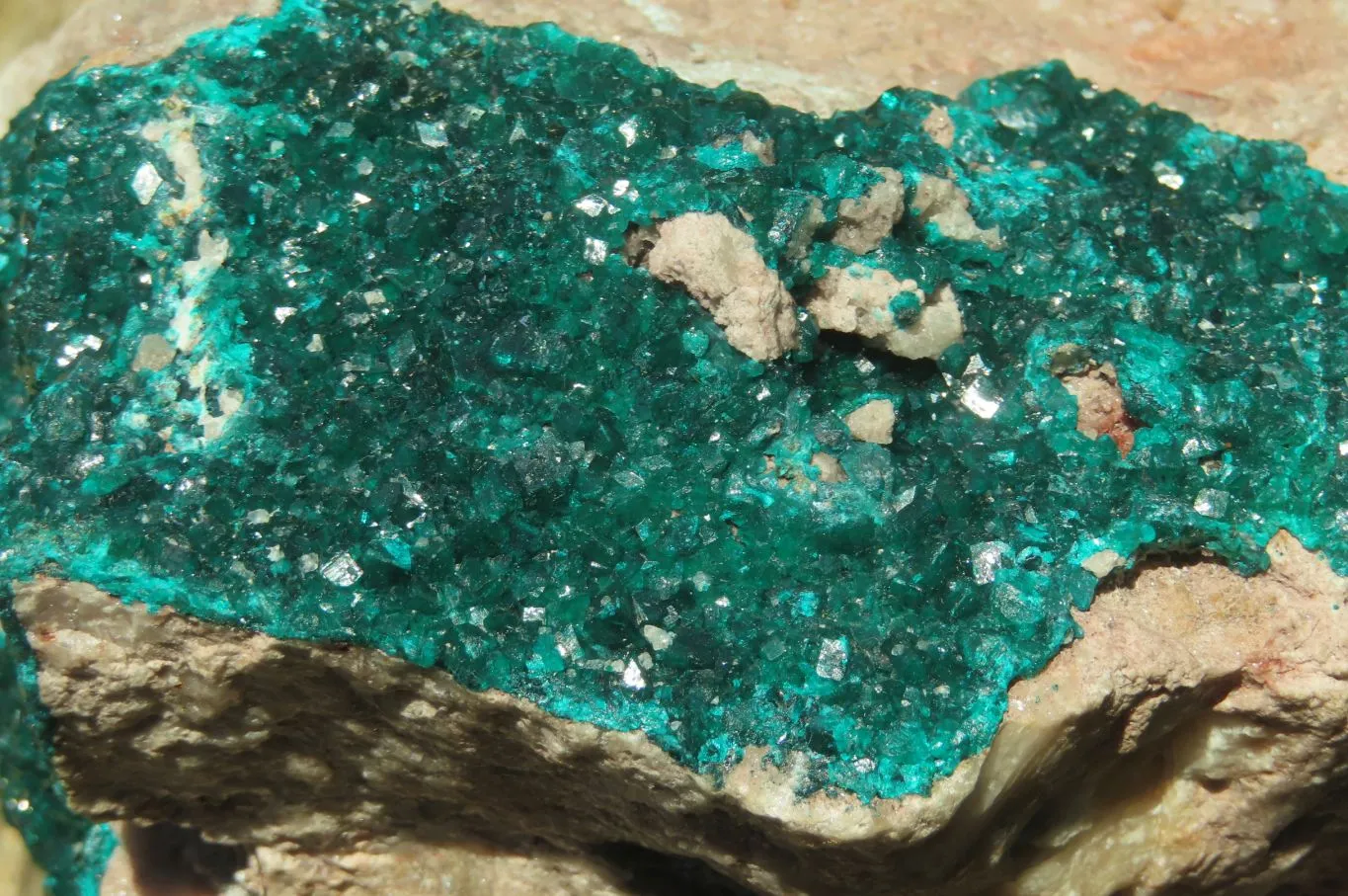 Natural Dioptase Cabinet Specimen x 1 From Congo