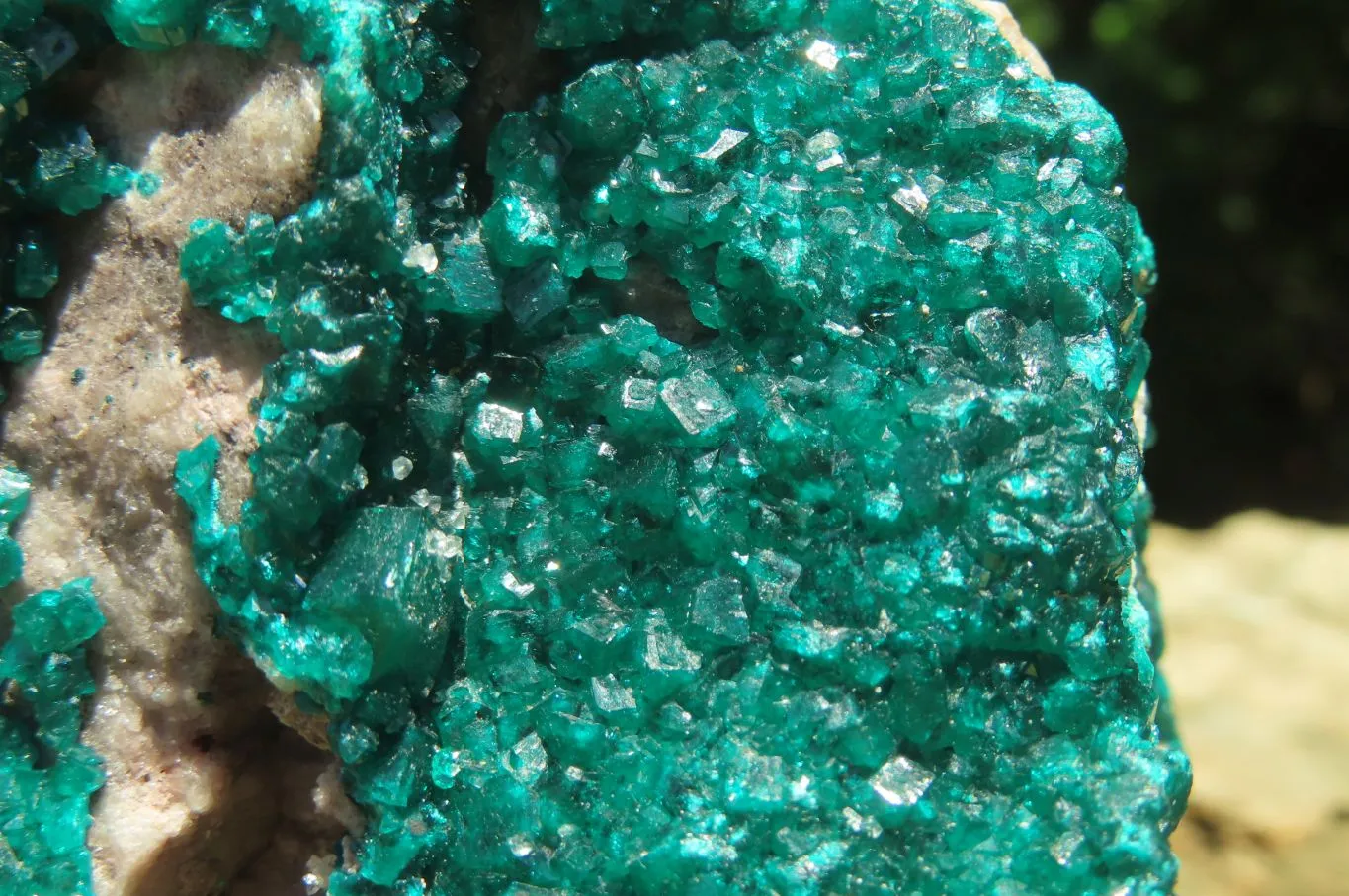 Natural Dioptase Cabinet Specimen x 1 From Congo