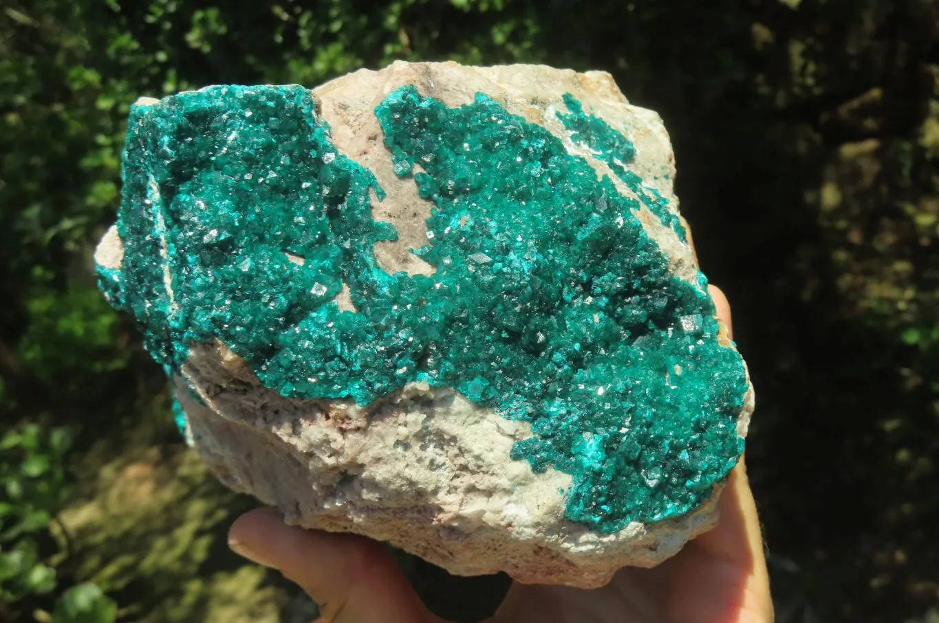 Natural Dioptase Cabinet Specimen x 1 From Congo