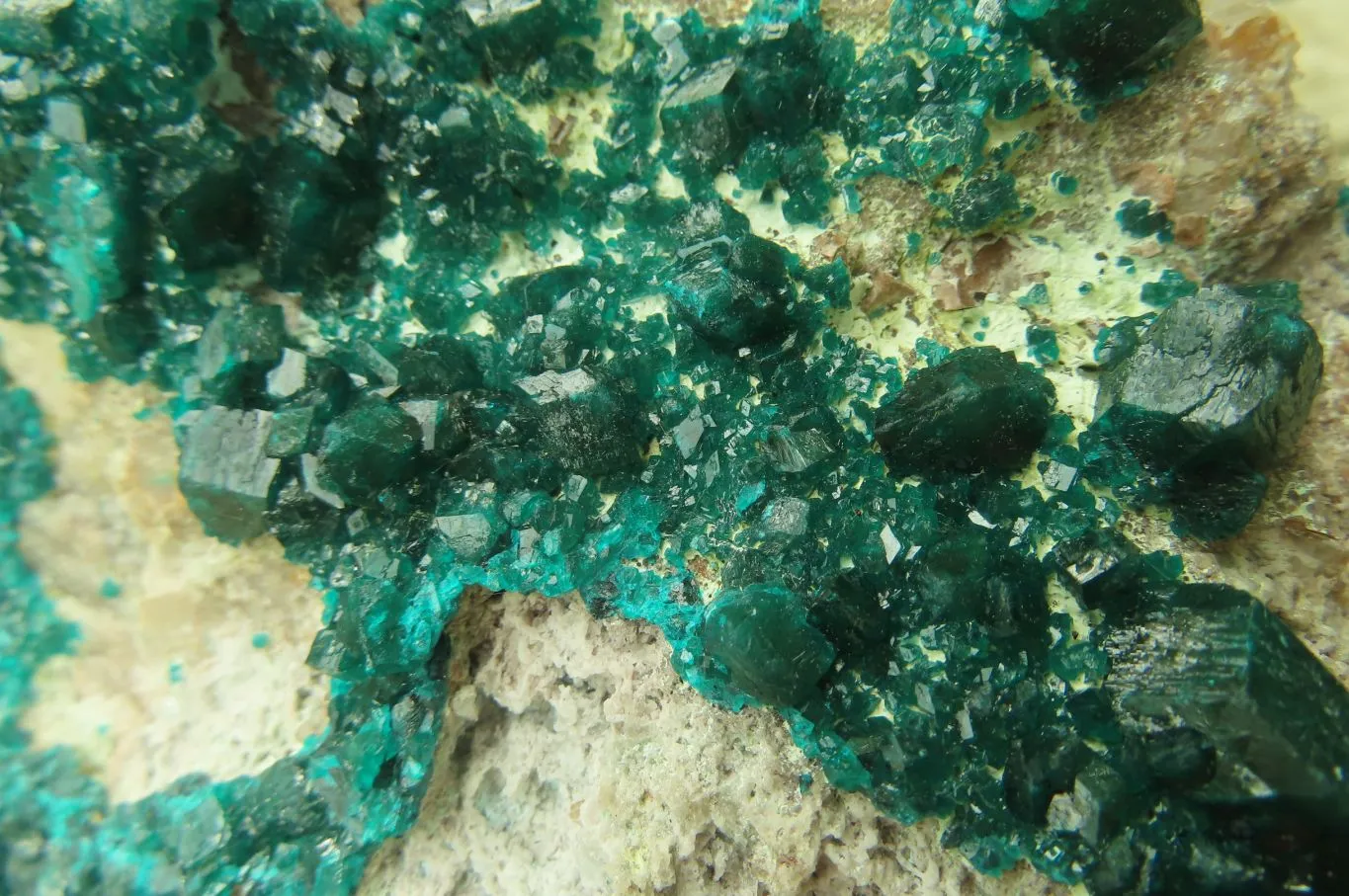 Natural Dioptase On Dolomite Specimen x 1 From Likasi, Congo