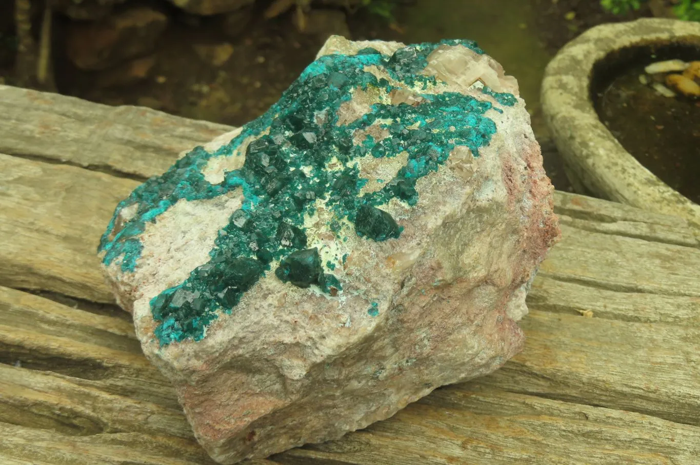 Natural Dioptase On Dolomite Specimen x 1 From Likasi, Congo