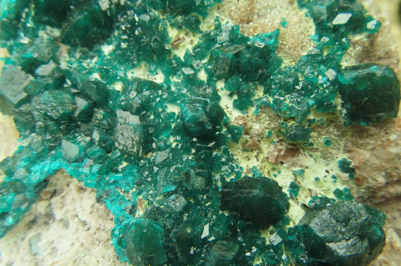 Natural Dioptase On Dolomite Specimen x 1 From Likasi, Congo