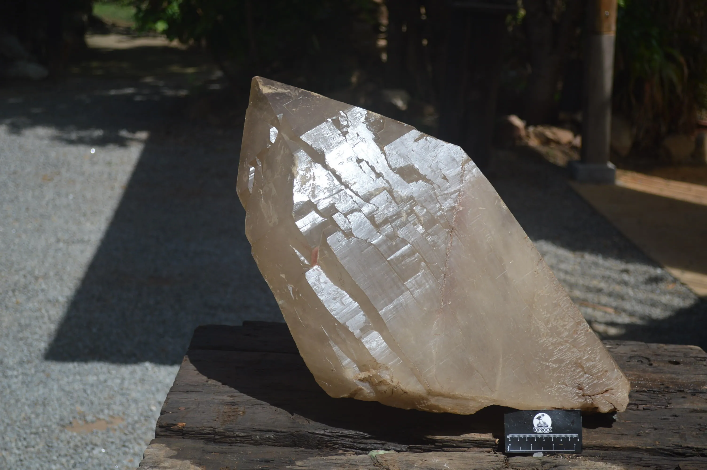 Natural Extra Large 1980's Self Healed Smokey Quartz Floater Crystal x 1 From Karibib, Namibia