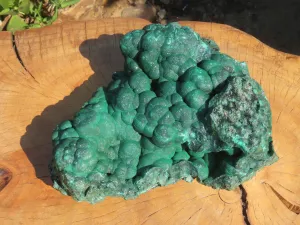 Natural Extra Large Botryoidal Malachite Specimen x 1 From Kolwezi, Congo