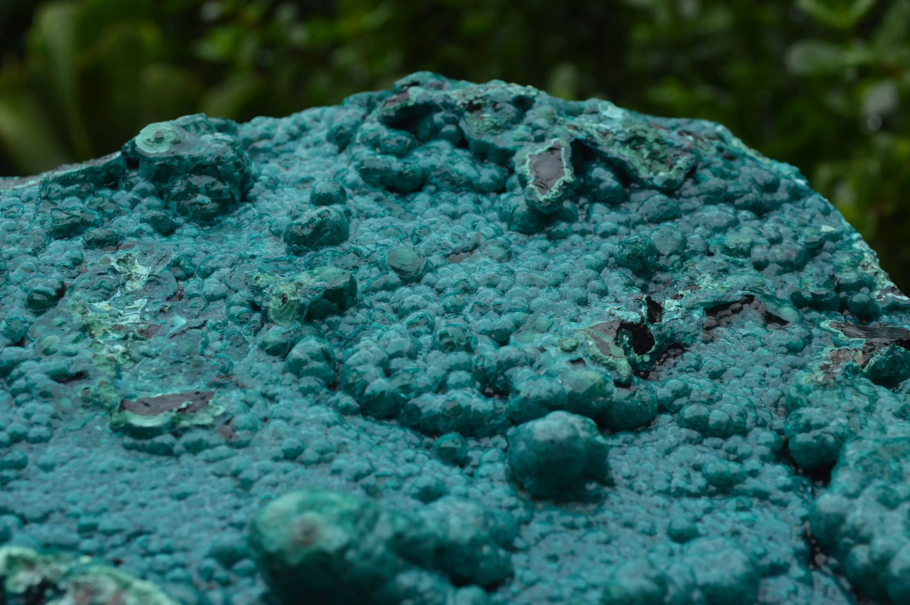 Natural Extra Large Chrysocolla Silica Botryoidal Specimen x 1 From Kulukuluku, Congo