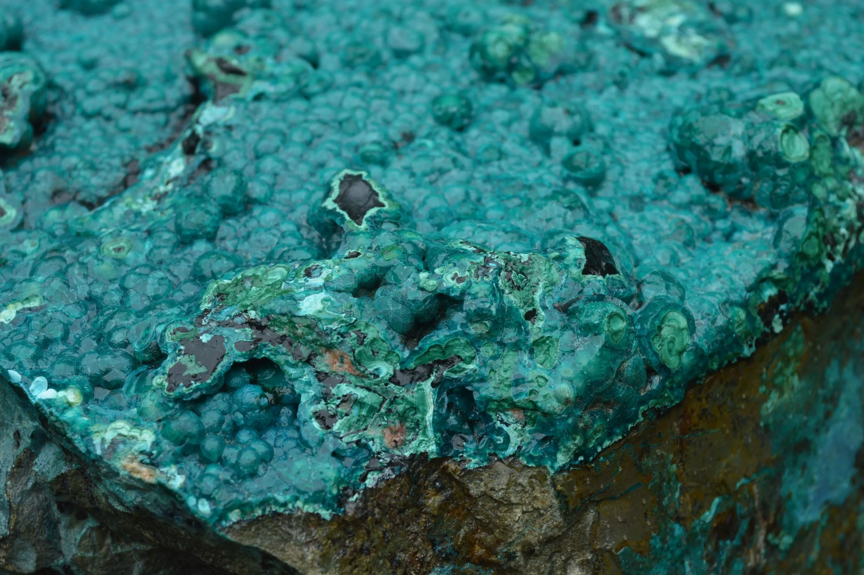 Natural Extra Large Chrysocolla Silica Botryoidal Specimen x 1 From Kulukuluku, Congo