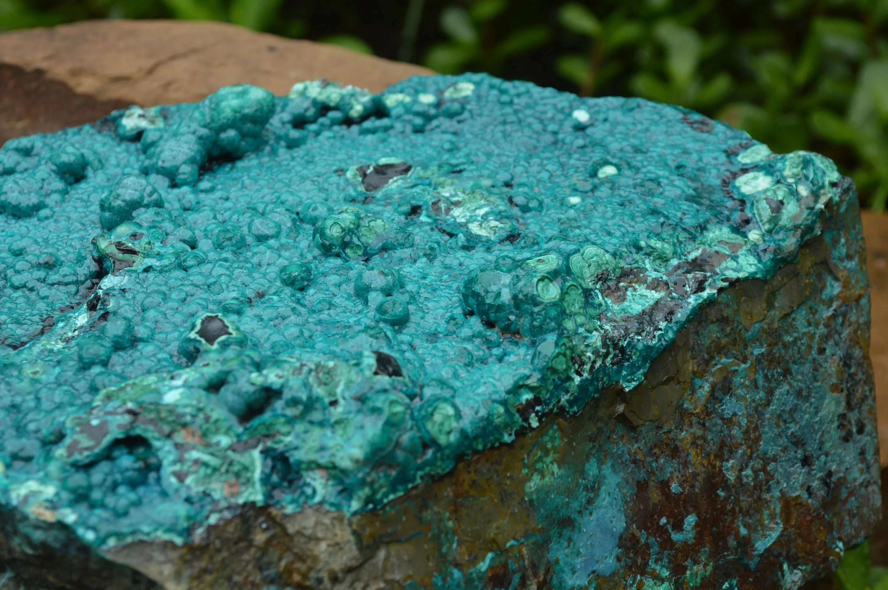 Natural Extra Large Chrysocolla Silica Botryoidal Specimen x 1 From Kulukuluku, Congo