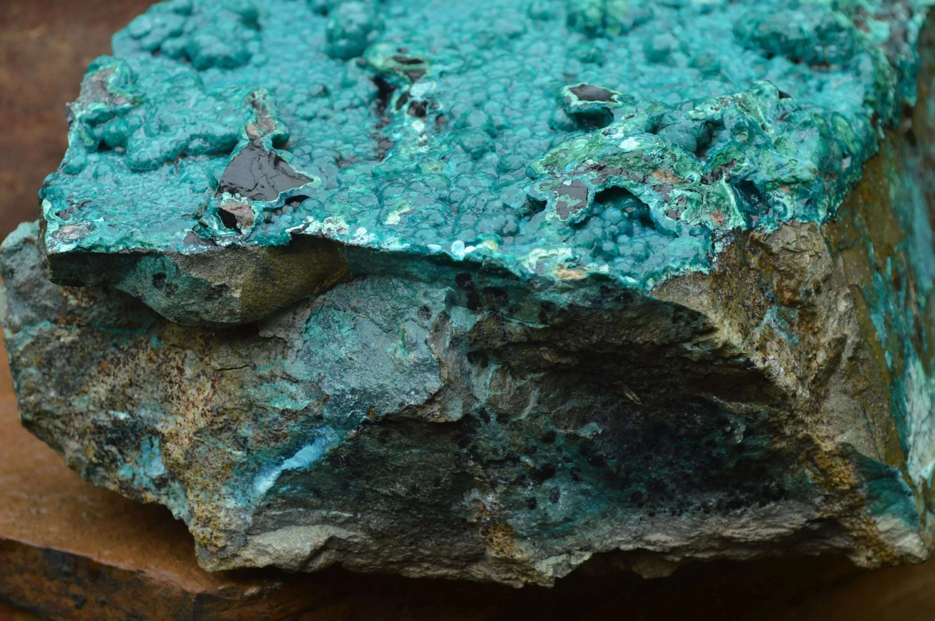 Natural Extra Large Chrysocolla Silica Botryoidal Specimen x 1 From Kulukuluku, Congo