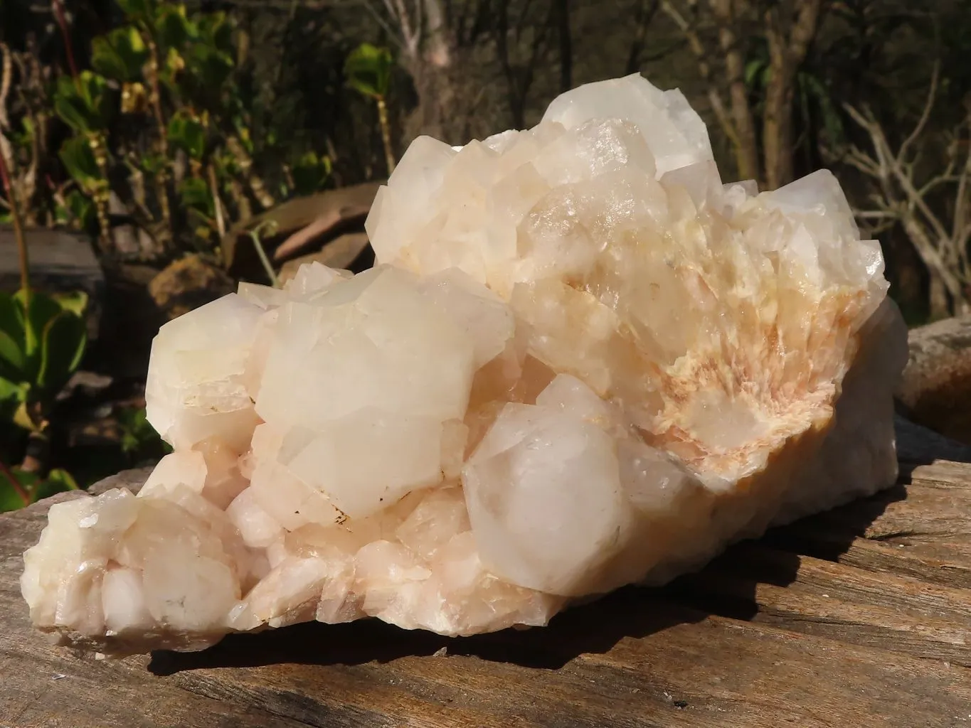 Natural Extra Large White Quartz Cluster With Limonite Colouring  x 1 From Madagascar