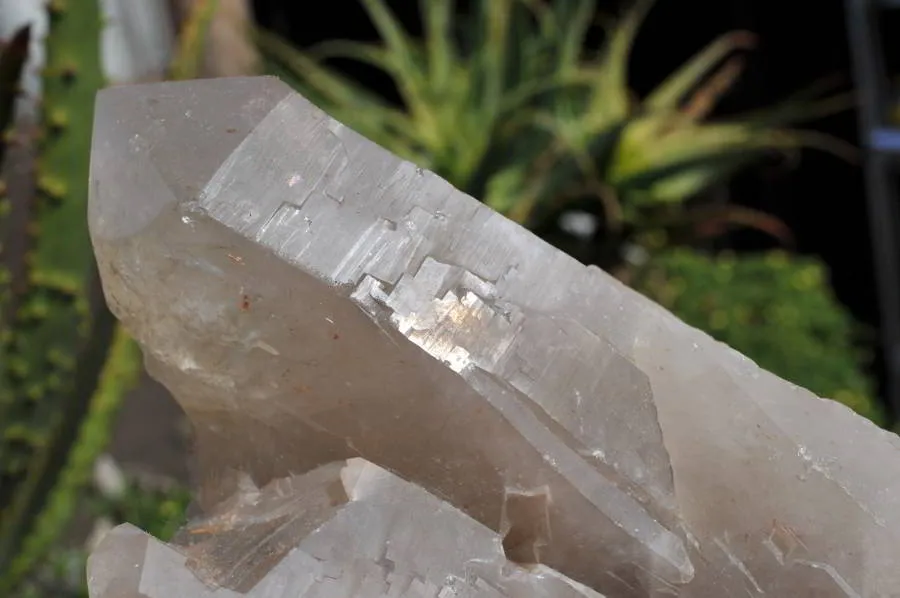 Natural Large Arcadian Quartz Cluster x 1 From Angola