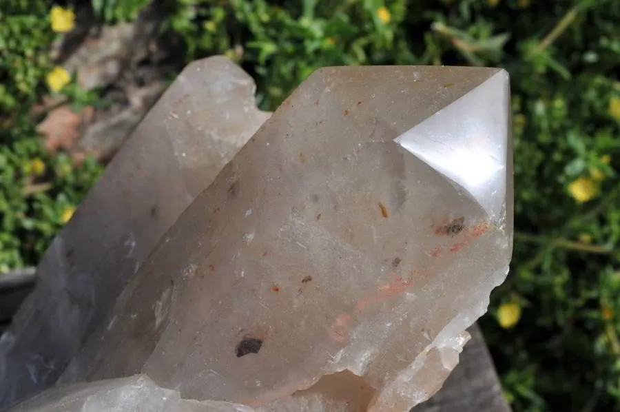 Natural Large Arcadian Quartz Cluster x 1 From Angola