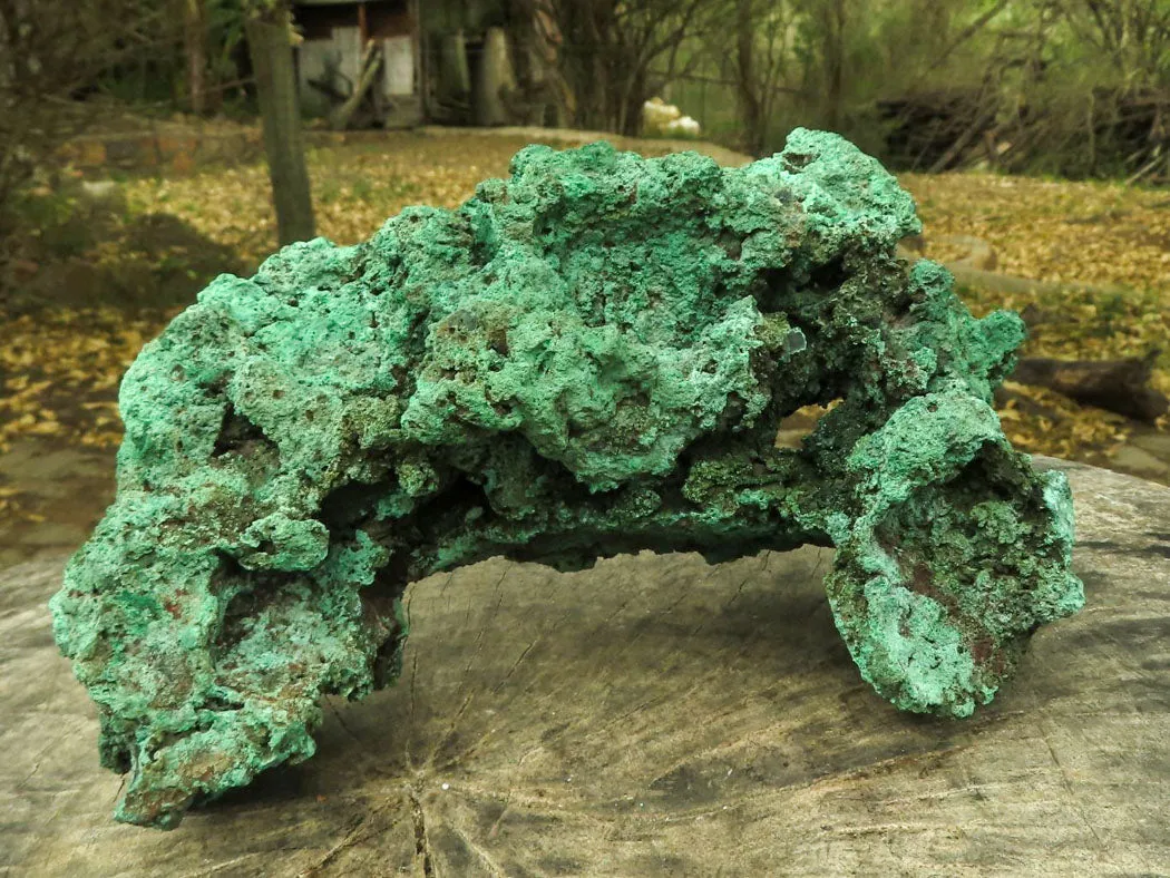 Natural Large Malachite Specimen x 1 From Congo