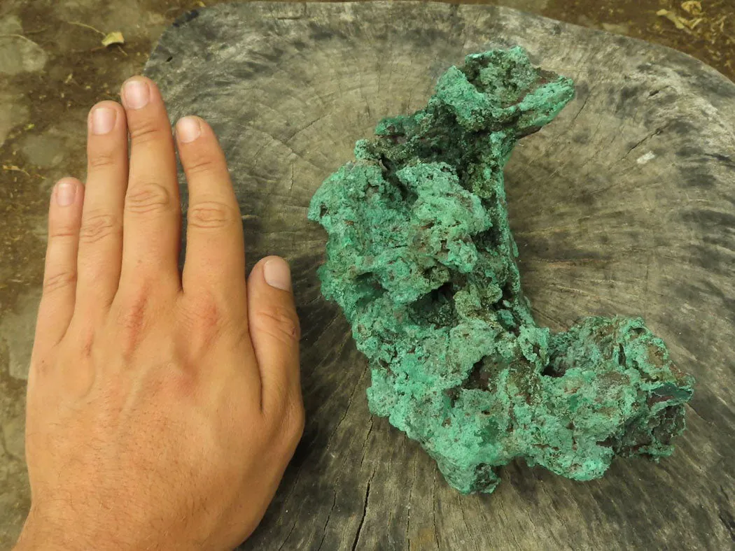 Natural Large Malachite Specimen x 1 From Congo