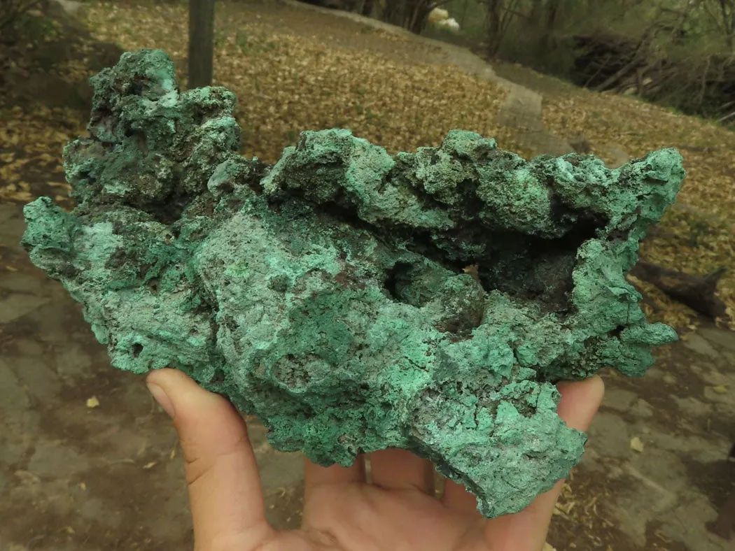 Natural Large Malachite Specimen x 1 From Congo