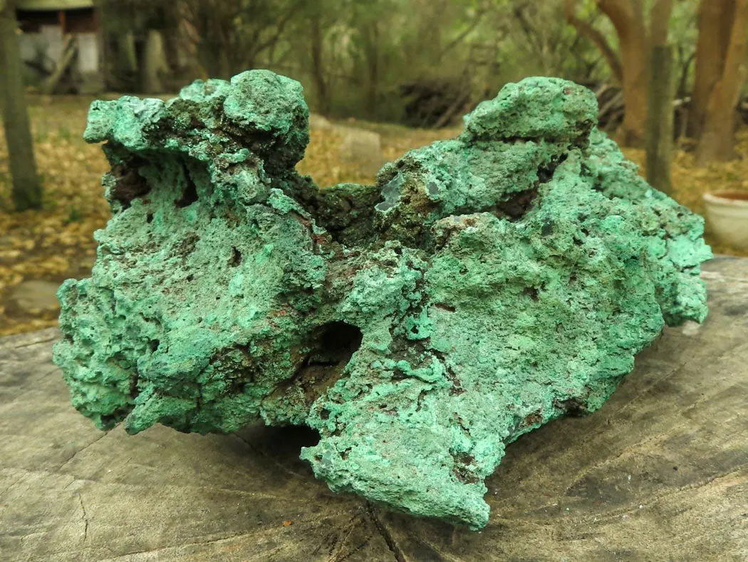 Natural Large Malachite Specimen x 1 From Congo