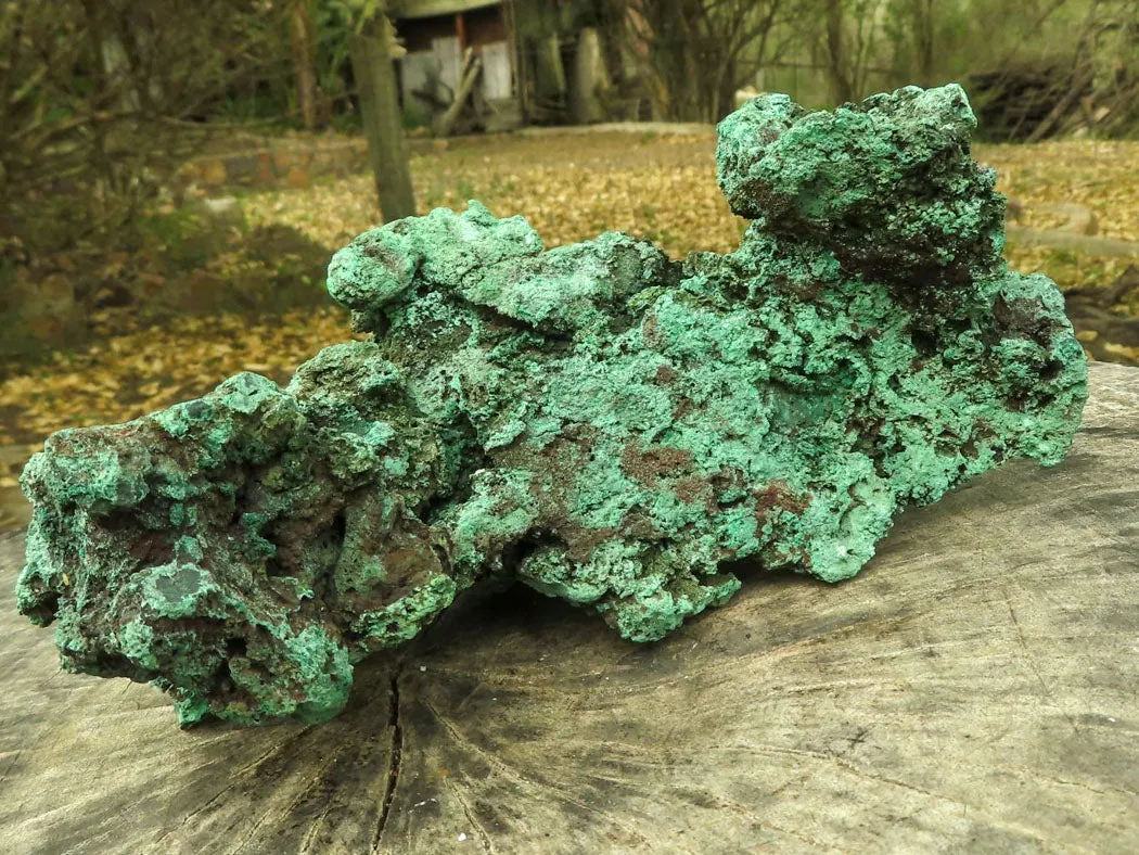 Natural Large Malachite Specimen x 1 From Congo