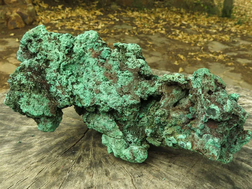 Natural Large Malachite Specimen x 1 From Congo