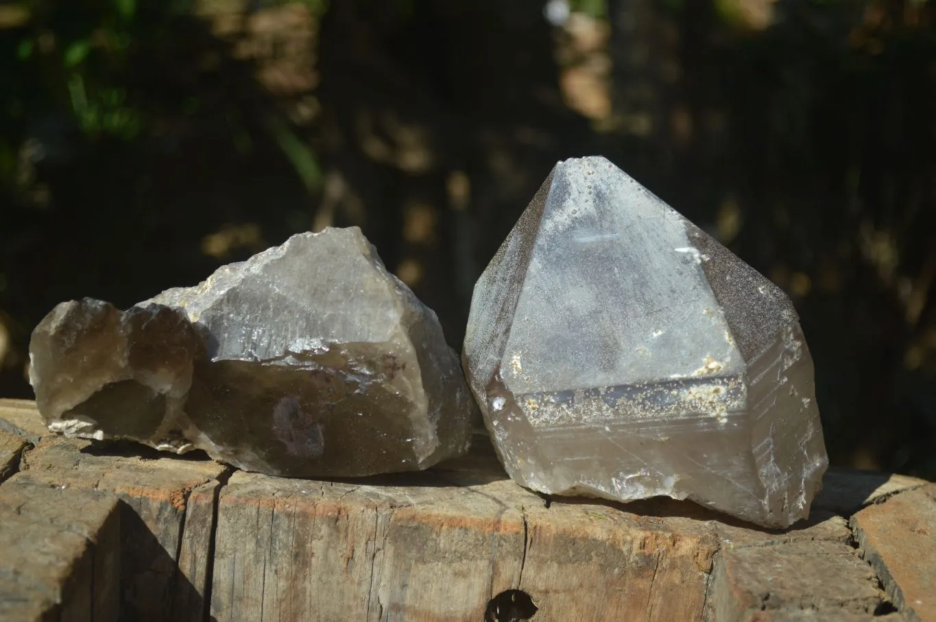 Natural Large Smokey Quartz Floater Crystal Formations x 2 From Mulanje, Malawi