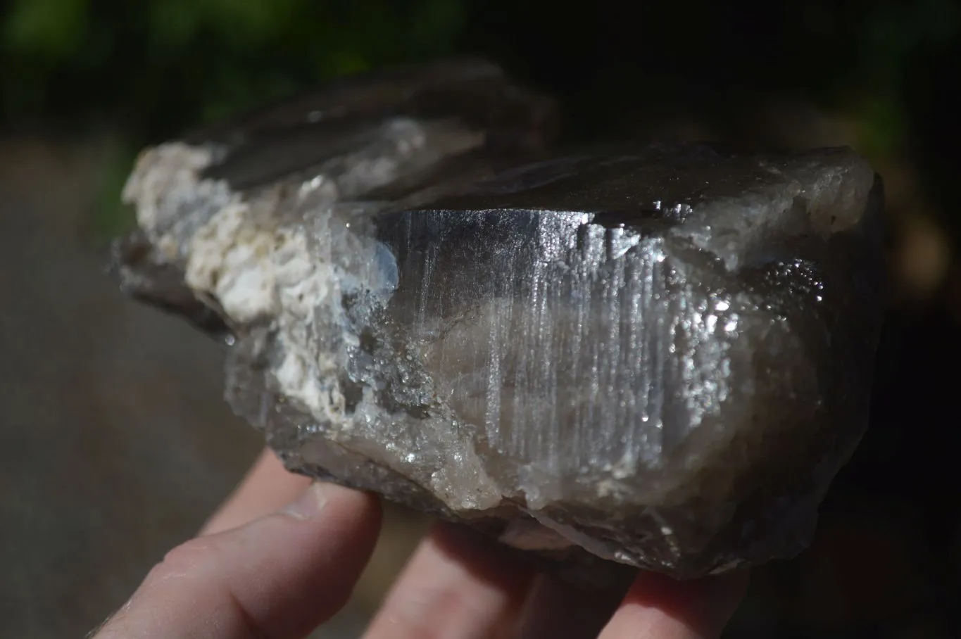 Natural Large Smokey Quartz Floater Crystal Formations x 2 From Mulanje, Malawi