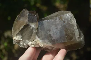 Natural Large Smokey Quartz Floater Crystal Formations x 2 From Mulanje, Malawi