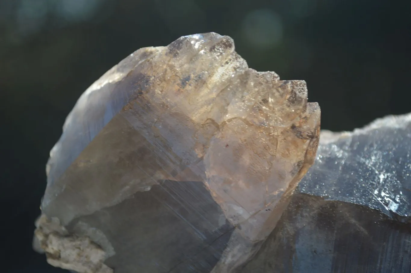 Natural Large Smokey Quartz Floater Crystal Formations x 2 From Mulanje, Malawi