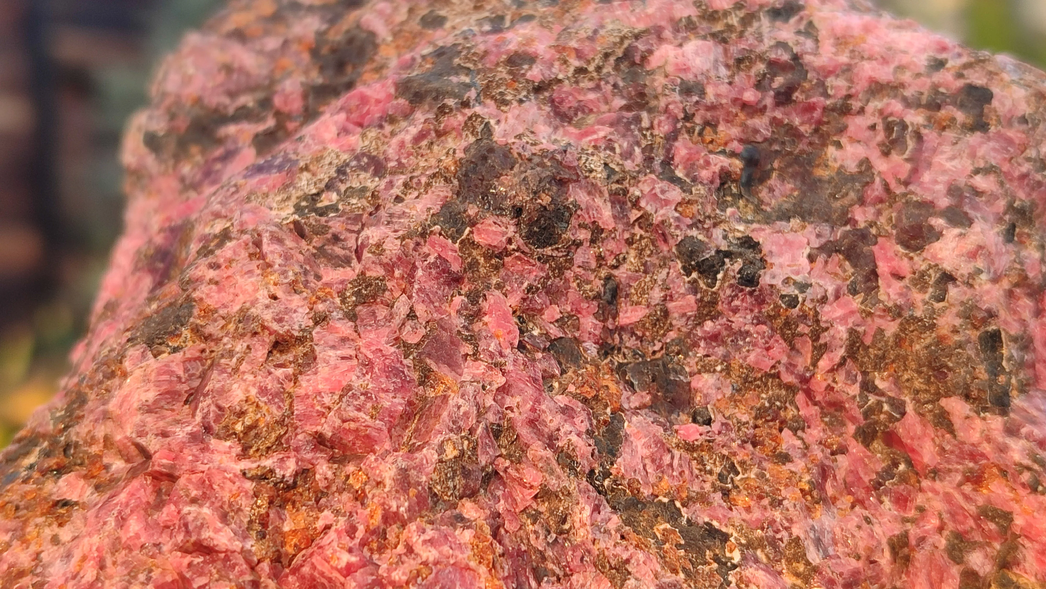 Natural Rough Rhodonite Specimen x 1 From Zimbabwe