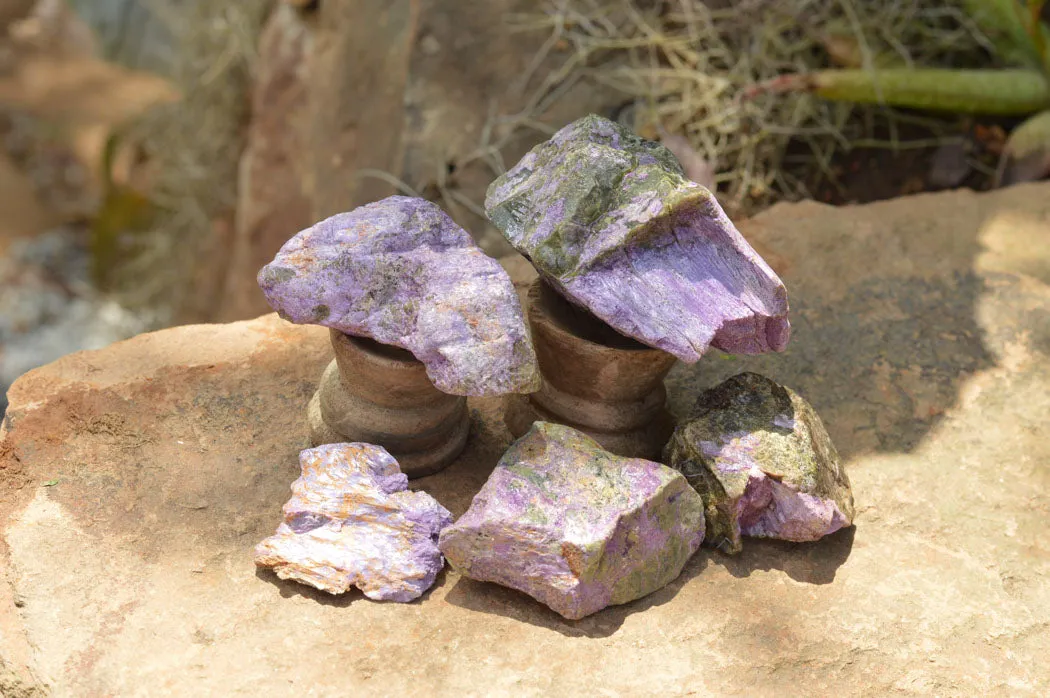 Natural Selected Purple Stichtite Specimens x 21 From Barberton, South Africa